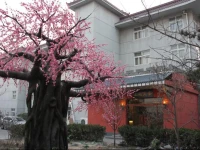 Three Kingdoms Dingsheng Cultural Boutique Hotel 