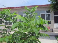 Beijing Baiquan Mountain Haizi Guesthouse 
