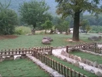 Qinglin Xianting Farmstay 