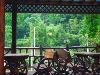 Moganshan Bamboo View Guesthouse 