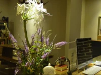 Zhaoxing Ruyuan Family Inn 