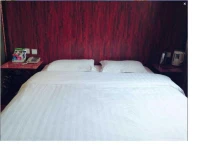 Jinxuan Express Hotel 