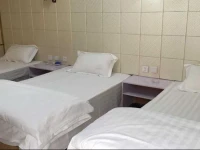 Dezhou Linyi Fuhao Business Inn 
