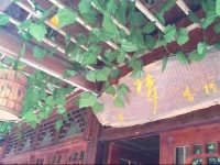 Zhaoxing Dongzhai Dream Inn 
