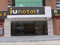 IU Hotel Shenzhen Kuiyong 