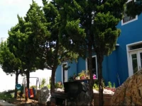 Qingdao Weiting International Youth Hostel 