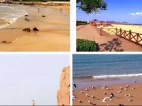 Jinshatan Qinglang Holiday Hotel 