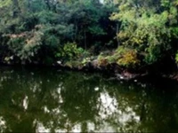 Xitang He Tang Farm Stay 