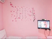 Xitang Red Leaf Inn 