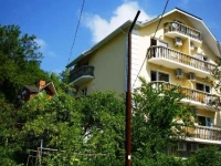 Золотая рыбка отель 