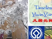 Timeless Hostel Yuanyang 2*