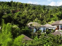 Villas Damai Lovina 