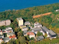 Niwa 