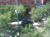 Manzhouli Family Hotel 