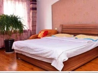 Gemini Family Guest House 