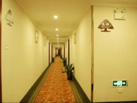 GreenTree Inn Jinan Pingyin Express 3*