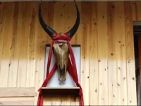 Jiu Huang Shan Qiang Yuan Farm Stay 
