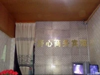 Nanjiang Shuxin Business Hotel 