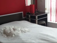 Киев отель 4*