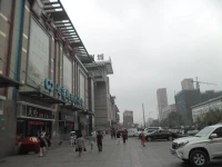 Flowers Blooming In Dalian 