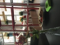 Sertar Sukhavati Bloom Youth Hostel 