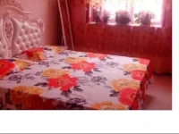 Shanshan Apartment 