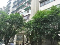Wuhan Morning Bird Youth Hostel 