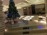 Lidong International Hotel 