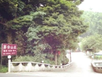 Qing Yun Inn 