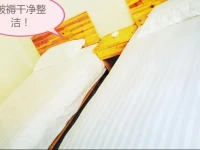 Qing Qing Inn 