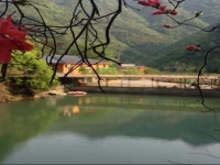Longdong Lake Resort 