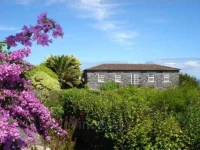 Quinta das Buganvilias 