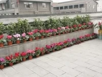 Jiudian Yiku Hotel Pinge Inn 