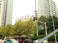 Floral Theme Hotel 