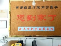 Xinguang Stevia Inn 