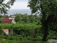 Villa Jana 2*
