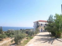 Alpha Apartments 