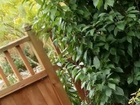 Whangarei Holiday Houses 4*