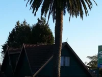 Crusoes Motel 