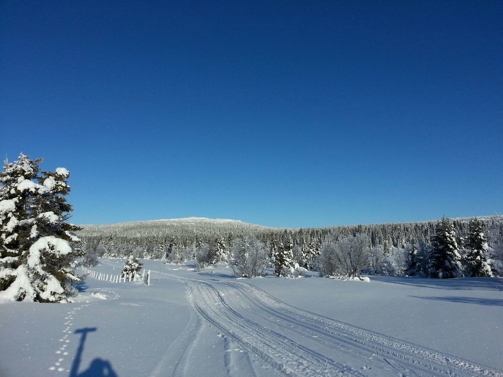 Glomstad Gjestehus 