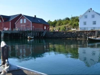 Skagakaia 