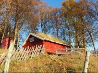 Solheim Fritidsgard 