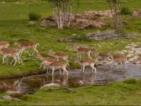 Rondane Friluftssenter Rondetunet 