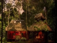 Amazon Villa 