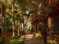 Las Olas Mancora 