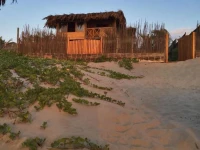 El Destino casas y bungalows Vichayito 