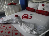 Delfin Amazon Suites 