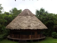 Finca Asana Shamanic Retreats 