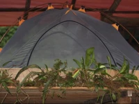 Soqtapata Preservation Rainforest Camping & Adventure 