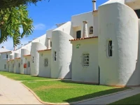 Verde Pino 
